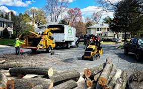 Best Pest Control for Lawns  in Cherryland, CA